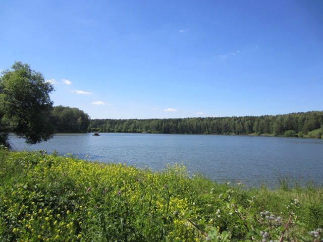 Озеро в посёлке Прибрежный парк